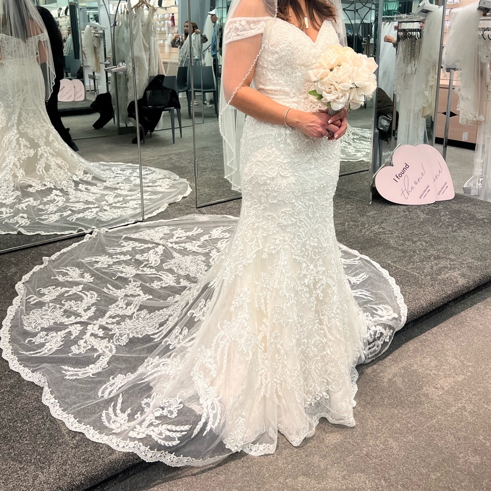 Brand new wedding dress. Never worn Used a different dress on wedding day